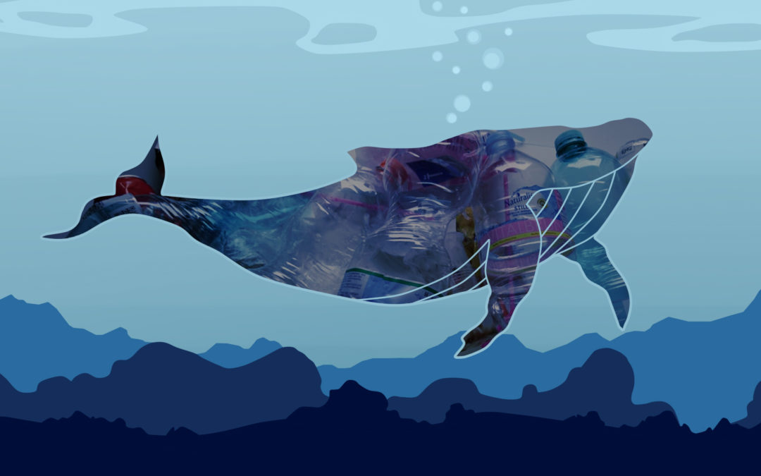 Die schwarze Sonne über dem blauen Meer