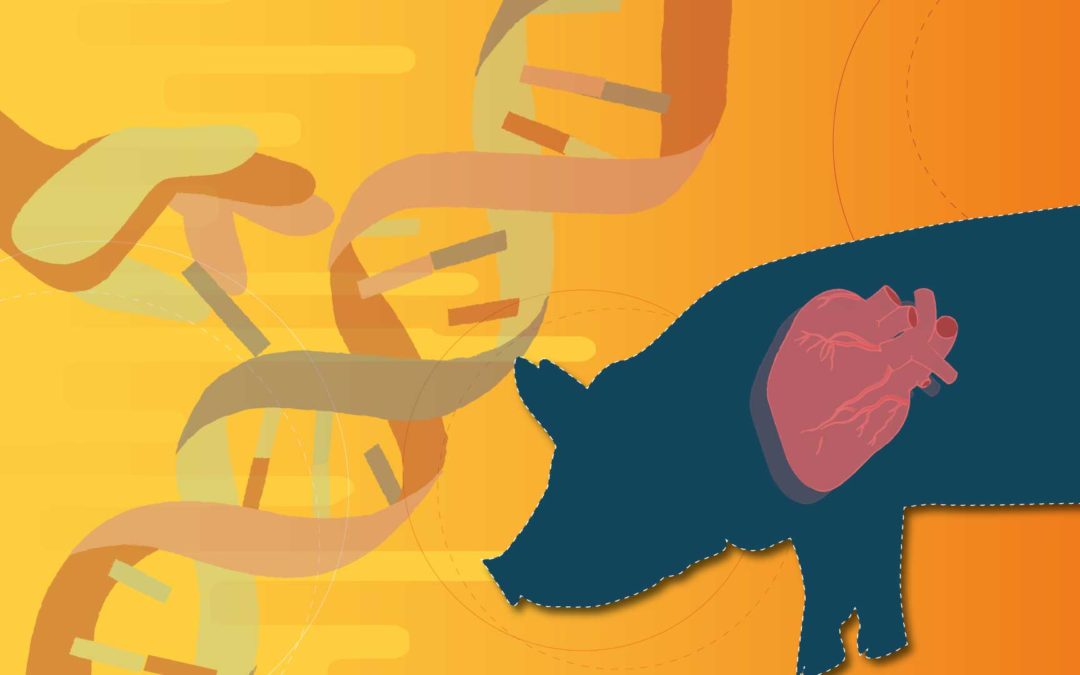 Die neuen Organfabriken