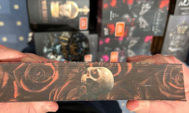 Dark Romance: Zwischen Faszination und Ekel