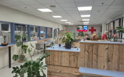 Tropfen für Tropfen Leben schenken