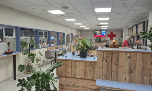 Tropfen für Tropfen Leben schenken