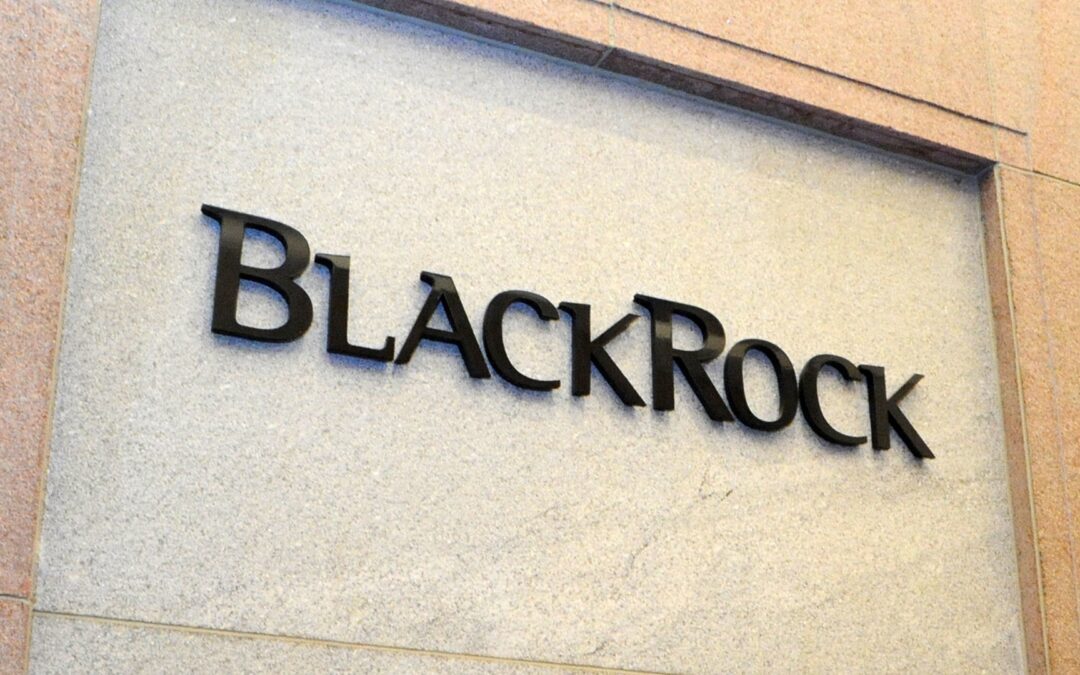 Ein Fels in der Brandung? Wie BlackRock dein Leben beeinflusst