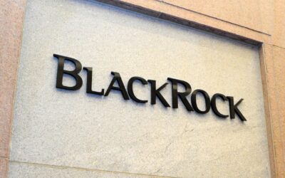 Ein Fels in der Brandung? Wie BlackRock dein Leben beeinflusst