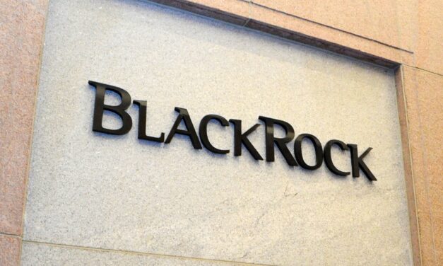 Ein Fels in der Brandung? Wie BlackRock dein Leben beeinflusst