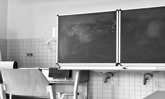 Zwischen Anspruch und Wirklichkeit: Das System Hochschule