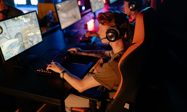 Wie Videospiele zur Dauerinvestition werden