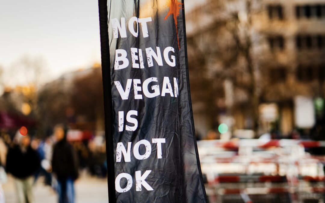 „NICHT VEGAN SEIN IST NICHT OK!“ – Radikal vegan: Abschreckend oder überzeugend?