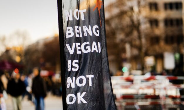 „NICHT VEGAN SEIN IST NICHT OK!“ – Radikal vegan: Abschreckend oder überzeugend?